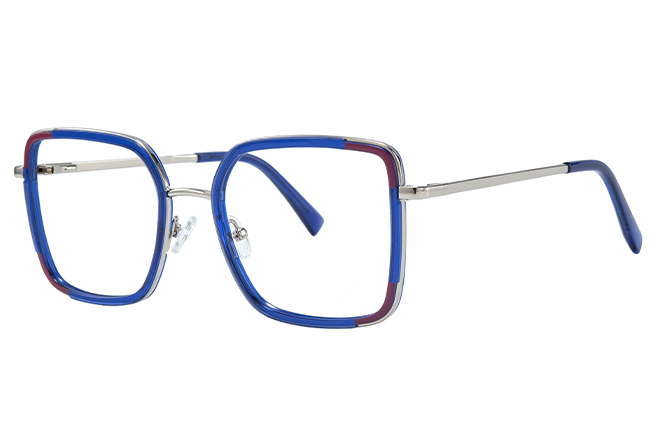 200840 Square Spring Hinge Eyeglasses 