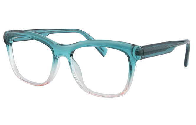 200849 Rectangle Spring Hinge Eyeglasses 