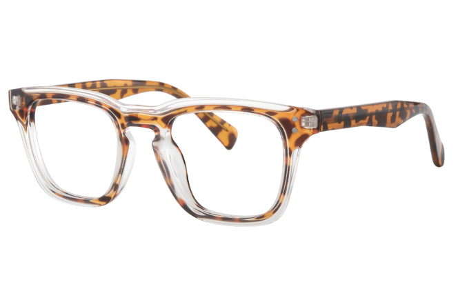 200850 Rectangle Spring Hinge Eyeglasses 