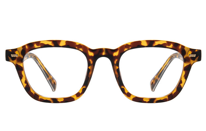 200856 Square Spring Hinge Eyeglasses 