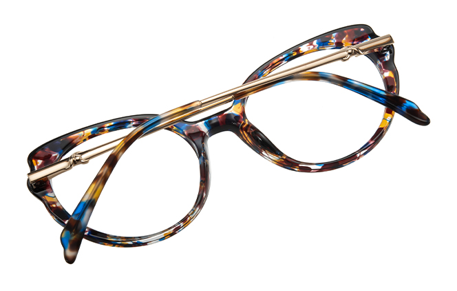 200858 Round Spring Hinge Eyeglasses 