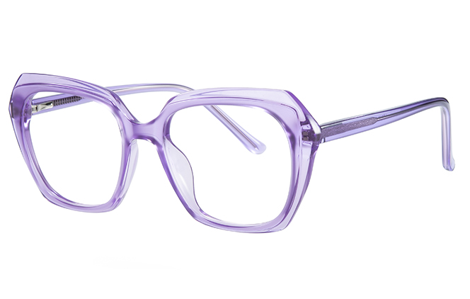 200868 Square Spring Hinge Eyeglasses 