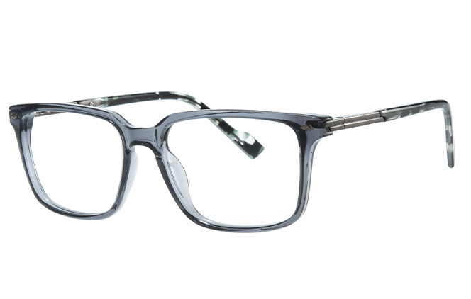 200881 Rectangle Spring Hinge Eyeglasses 