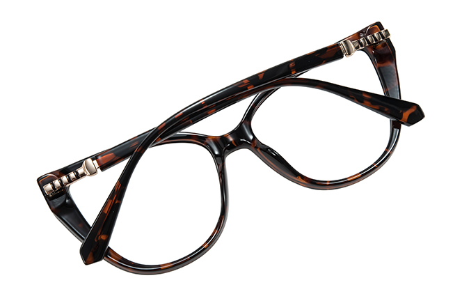 200946 Spring Hinge Cateye Eyeglasses
