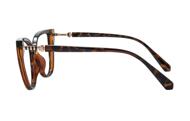 200946 Spring Hinge Cateye Eyeglasses