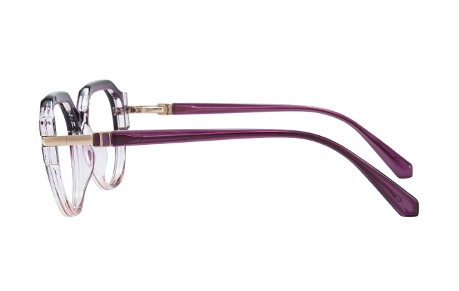 200954 Geometric Spring Hinge Eyeglasses
