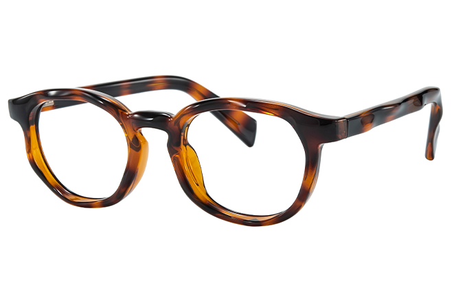 200955 Round Spring Hinge Eyeglasses