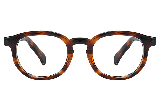 200955 Round Spring Hinge Eyeglasses