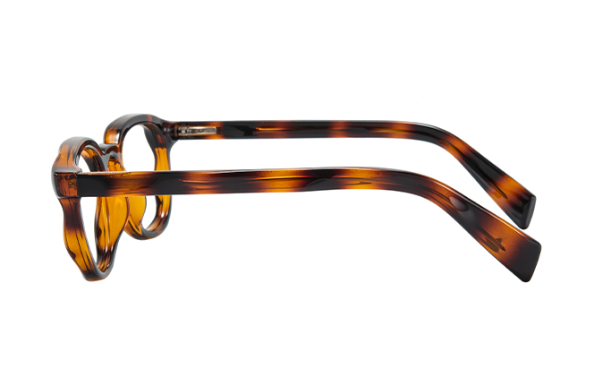 200955 Round Spring Hinge Eyeglasses