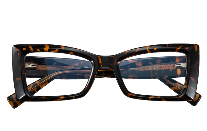 200969 Cateye Spring Hinges Eyeglasses